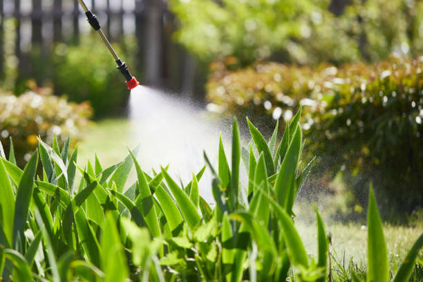24/7 Emergency Termite Control experts in Ormond-by-the-Sea, FL