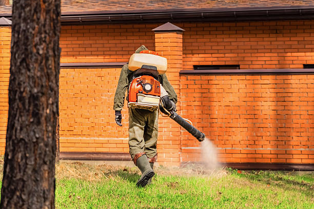 Trusted Mosquito Control service in Ormond-by-the-Sea, FL - Nex Pest Control